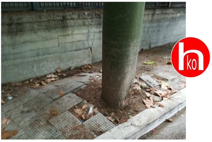 Marciapiede intransitabile, barriera architettonica al massimo livello!